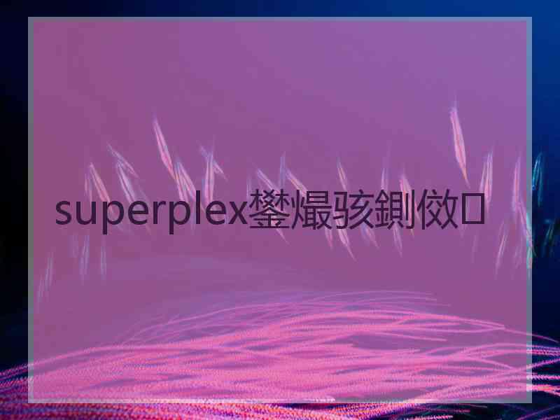 superplex鐢熶骇鍘傚