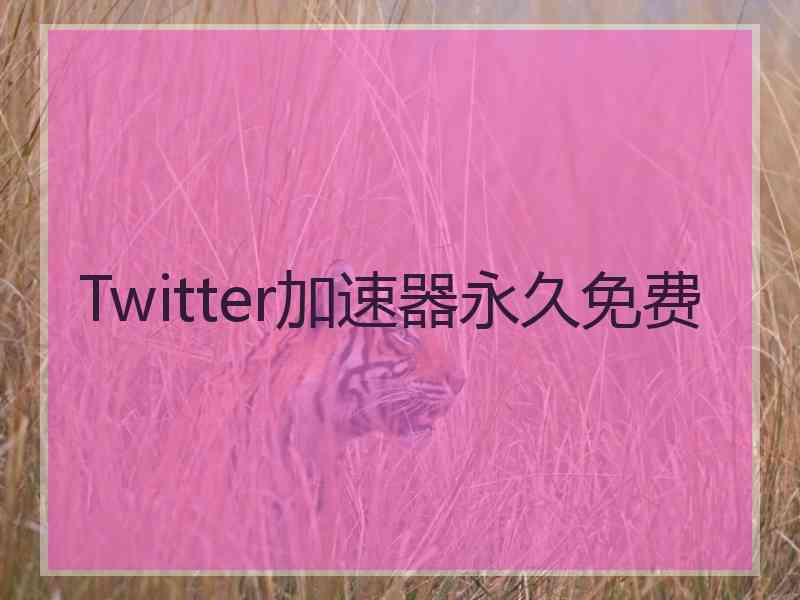 Twitter加速器永久免费