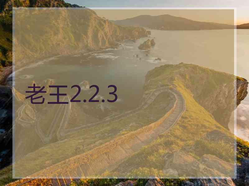 老王2.2.3