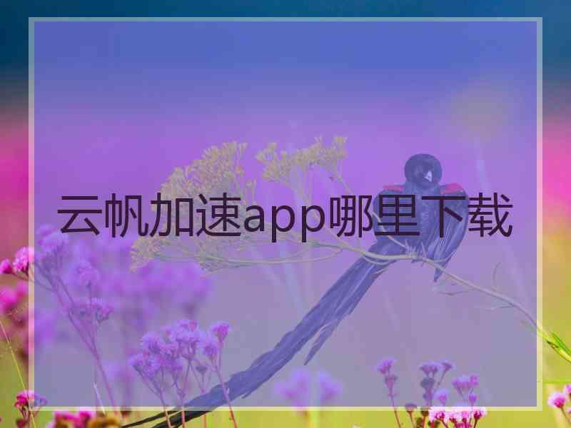 云帆加速app哪里下载