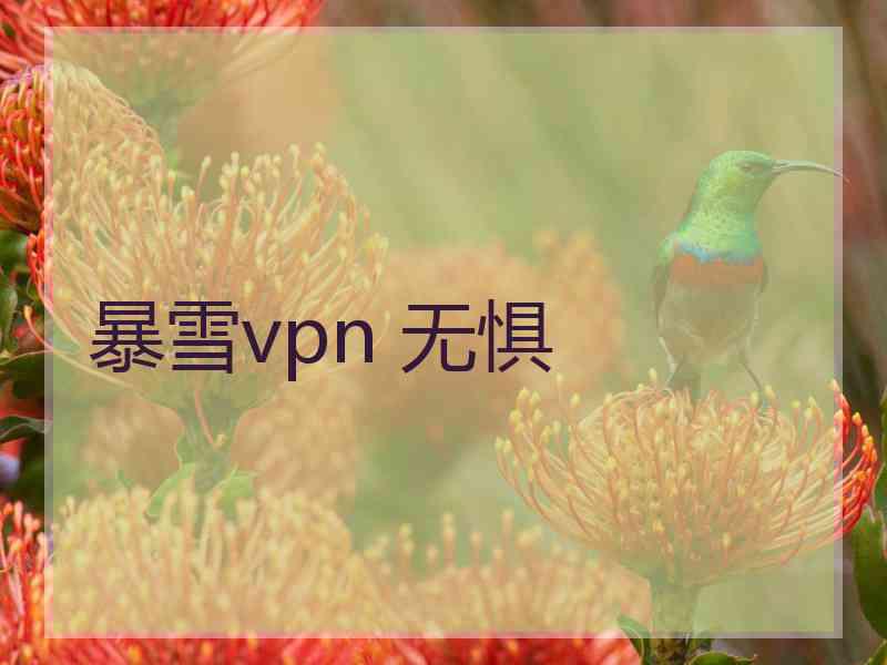 暴雪vpn 无惧