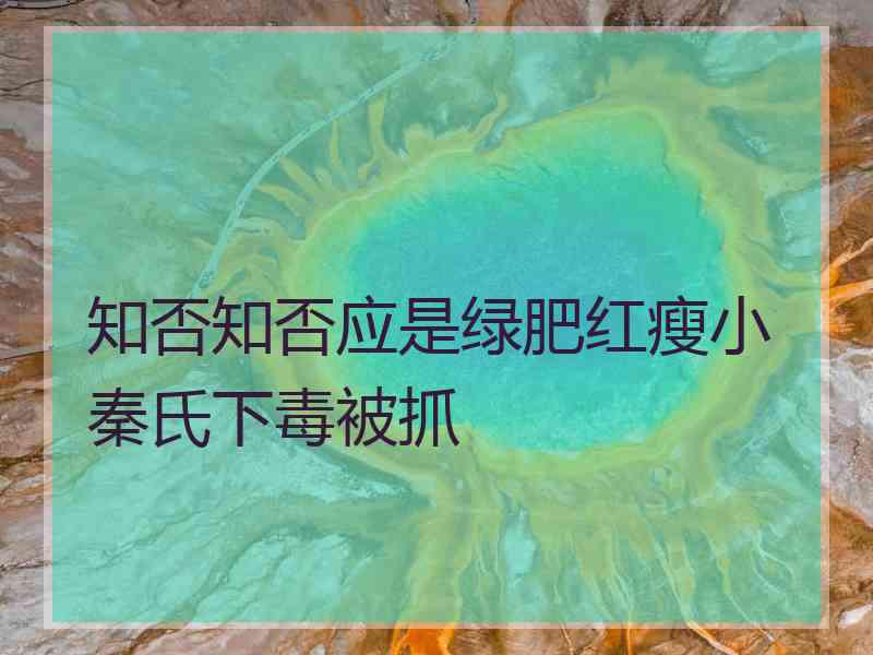 知否知否应是绿肥红瘦小秦氏下毒被抓