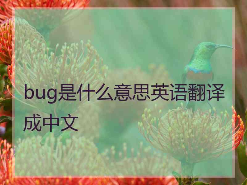 bug是什么意思英语翻译成中文