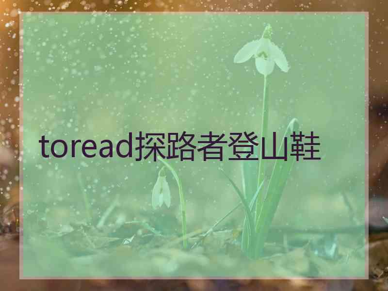 toread探路者登山鞋