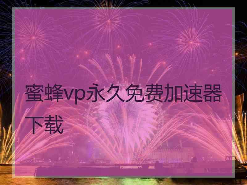 蜜蜂vp永久免费加速器下载