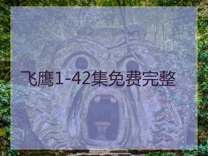 飞鹰1-42集免费完整