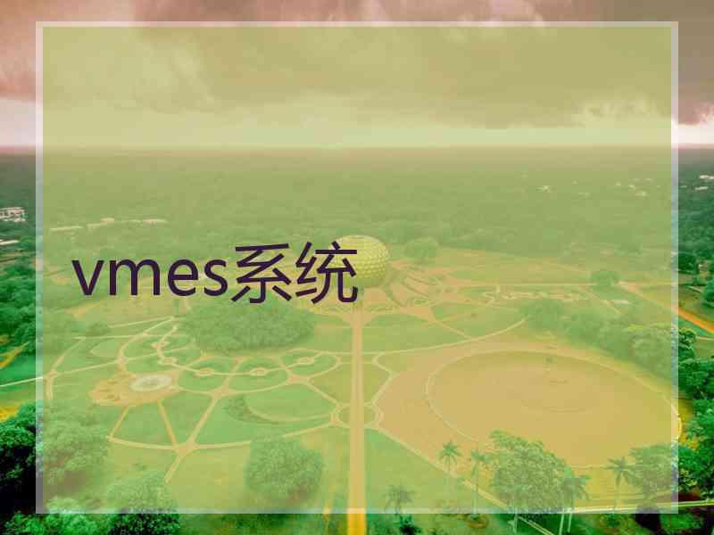 vmes系统