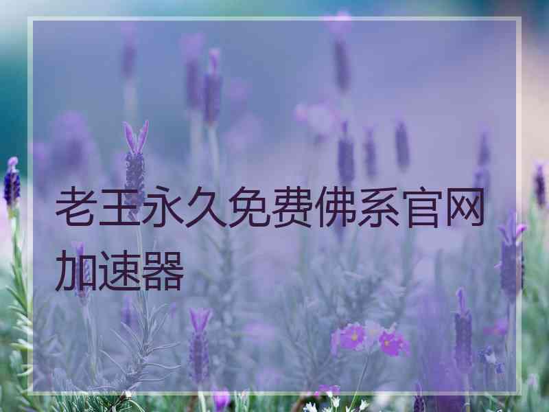 老王永久免费佛系官网加速器