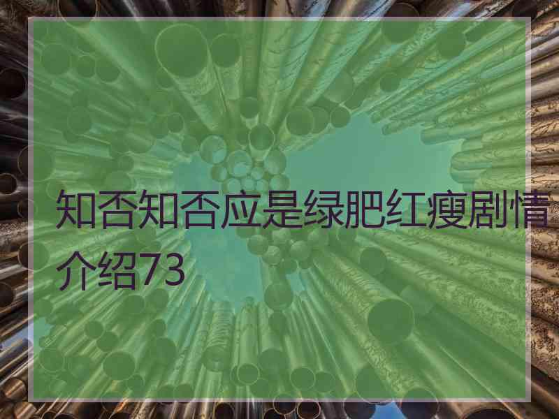 知否知否应是绿肥红瘦剧情介绍73