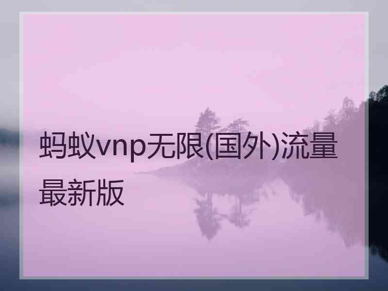 蚂蚁vnp无限(国外)流量最新版