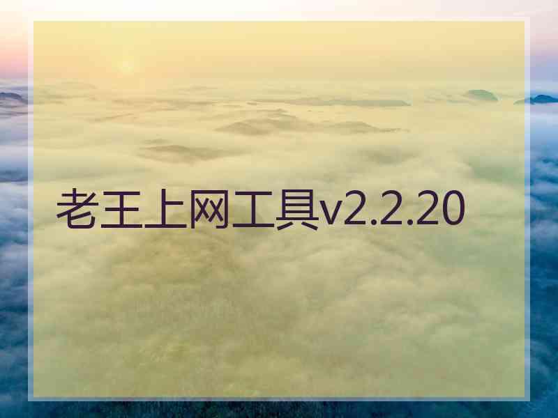 老王上网工具v2.2.20