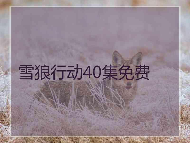 雪狼行动40集免费