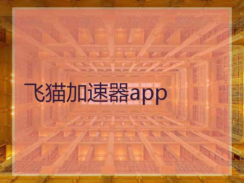 飞猫加速器app