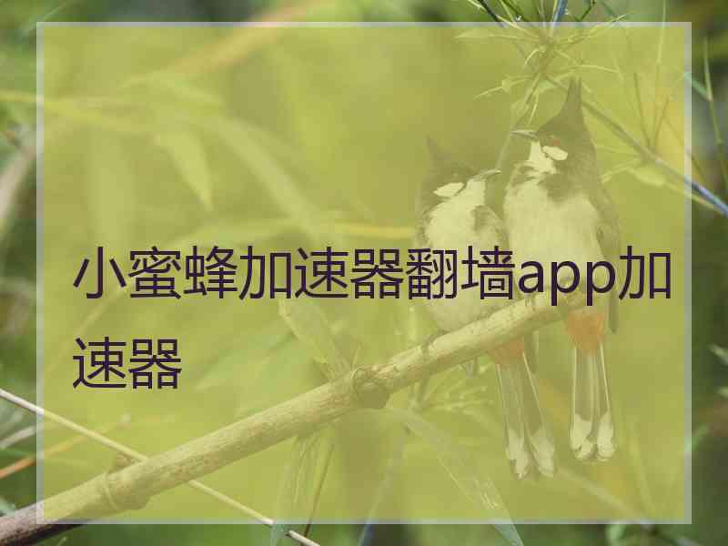 小蜜蜂加速器翻墙app加速器