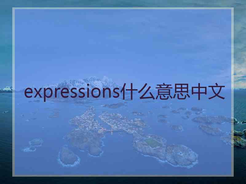 expressions什么意思中文