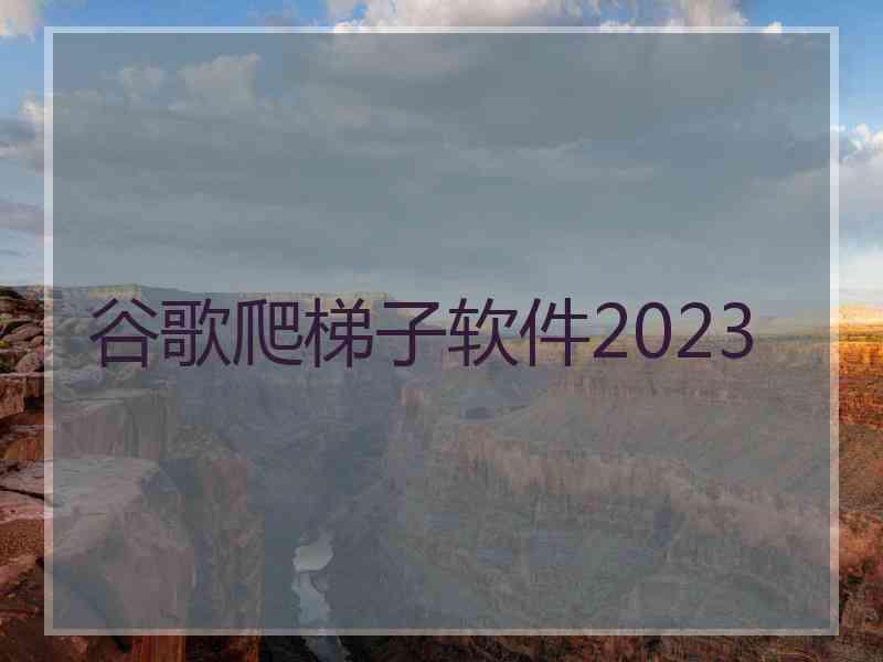 谷歌爬梯子软件2023