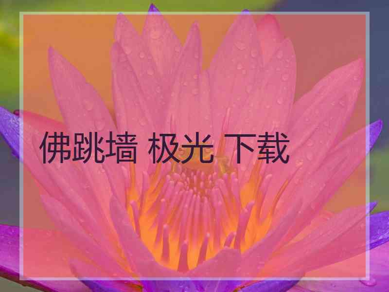 佛跳墙 极光 下载