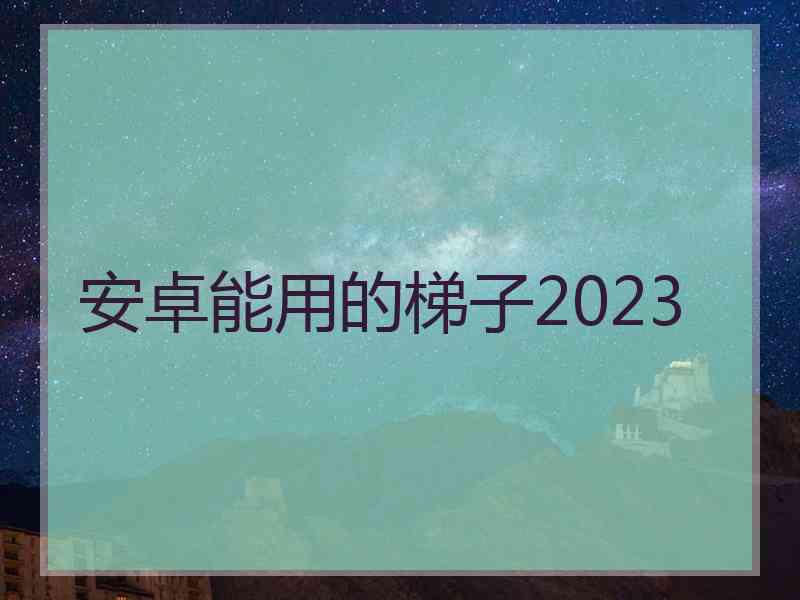 安卓能用的梯子2023