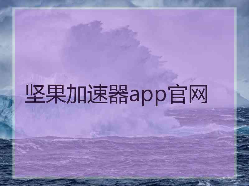 坚果加速器app官网