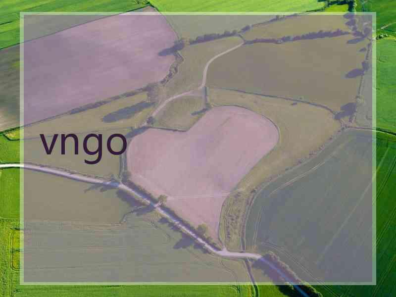 vngo