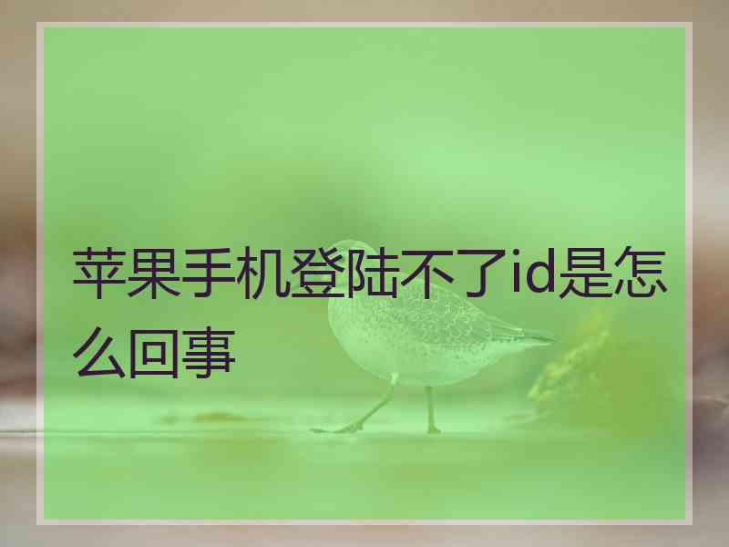 苹果手机登陆不了id是怎么回事