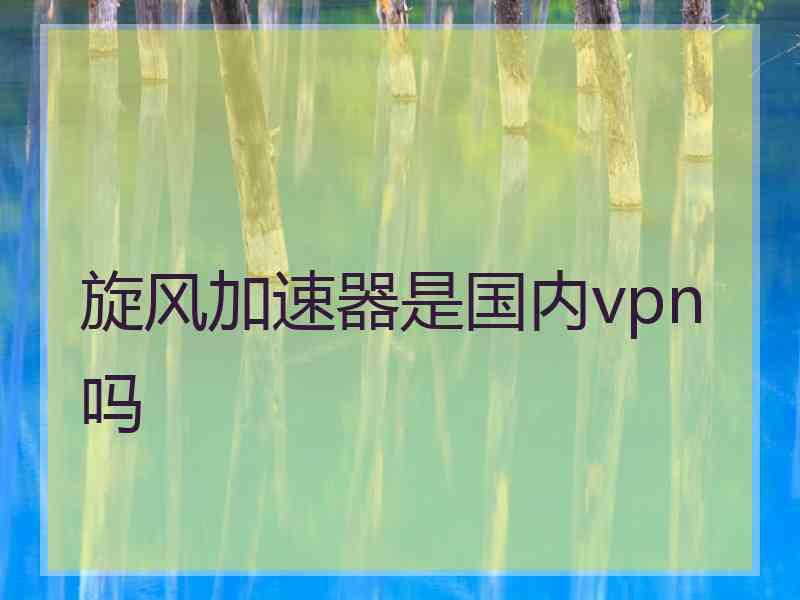 旋风加速器是国内vpn吗