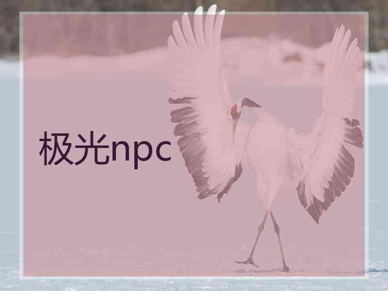 极光npc