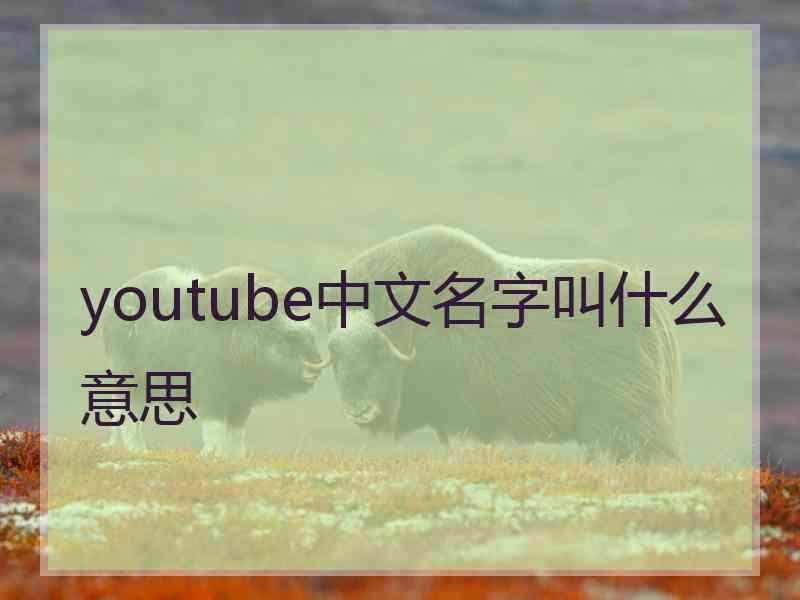 youtube中文名字叫什么意思