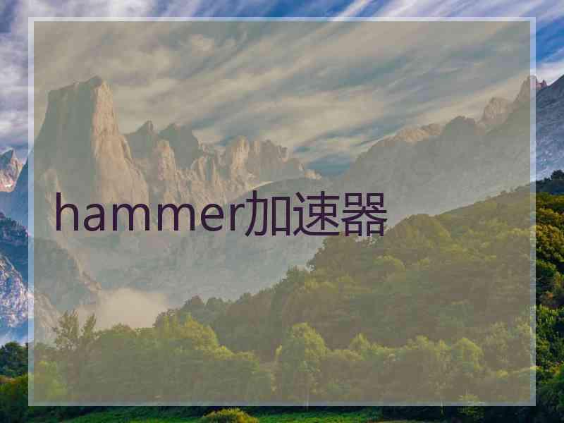 hammer加速器