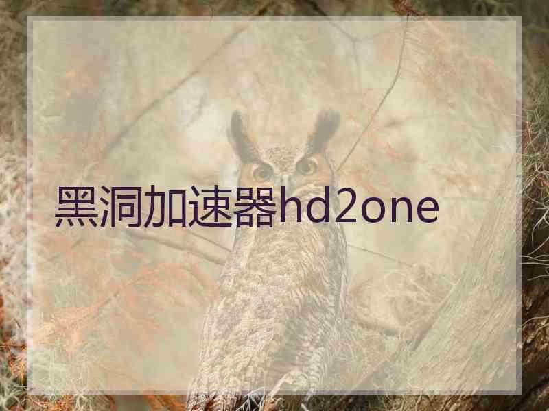 黑洞加速器hd2one