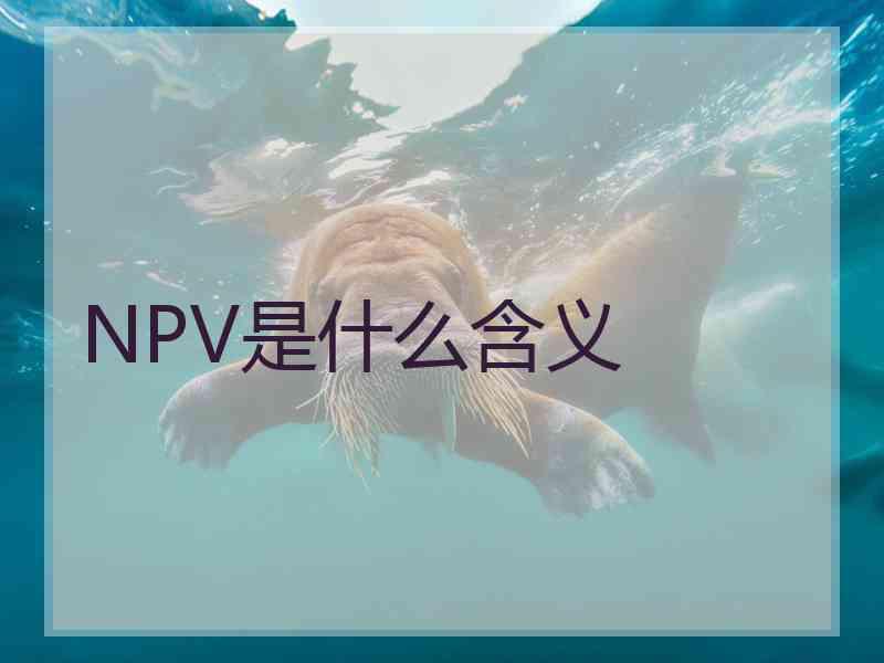 NPV是什么含义