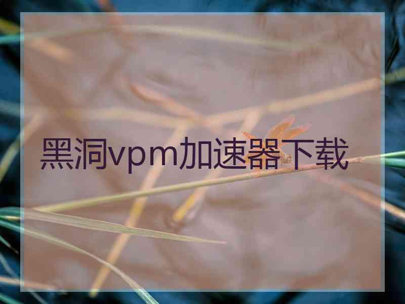 黑洞vpm加速器下载