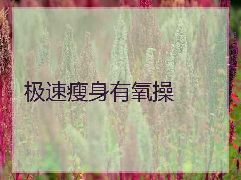 极速瘦身有氧操