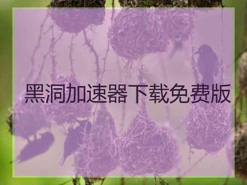 黑洞加速器下载免费版