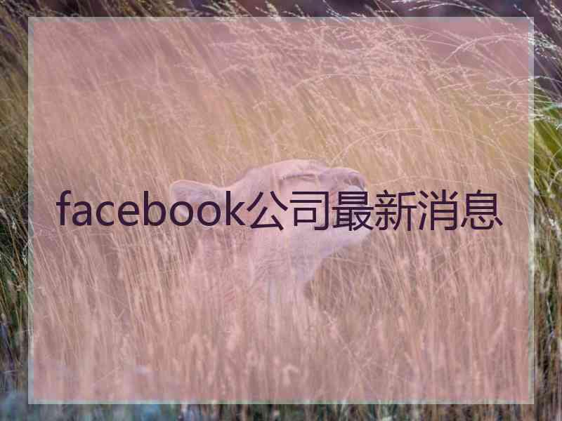 facebook公司最新消息