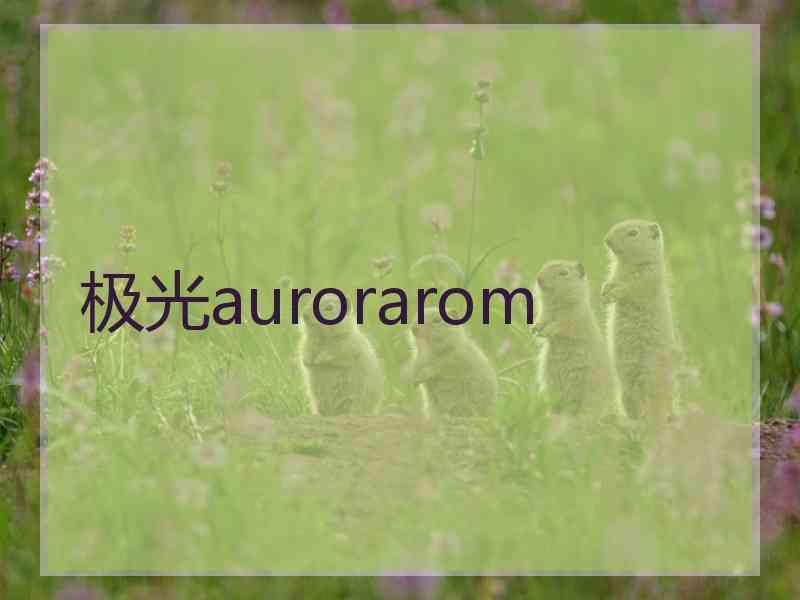 极光aurorarom