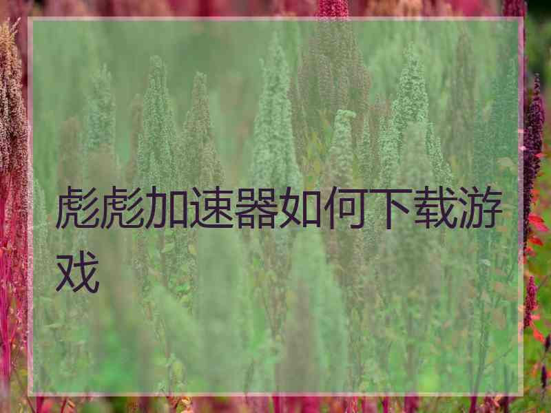 彪彪加速器如何下载游戏