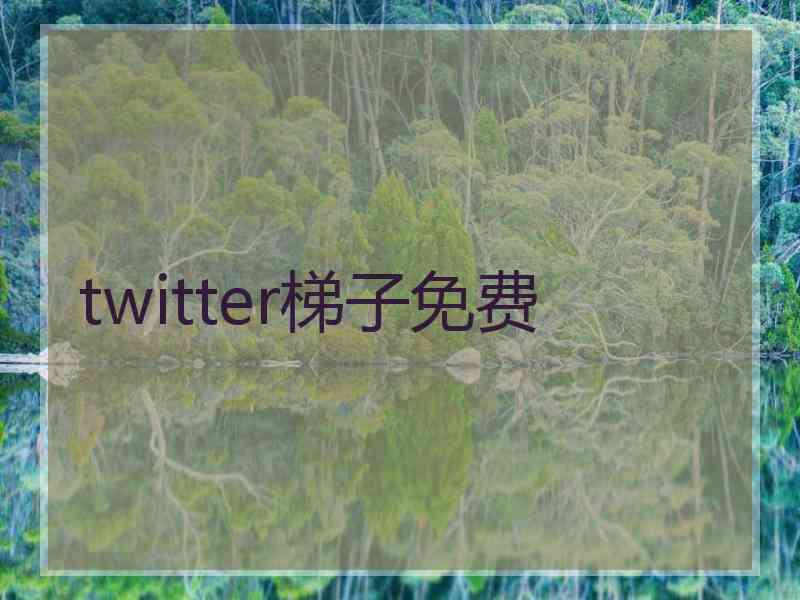 twitter梯子免费