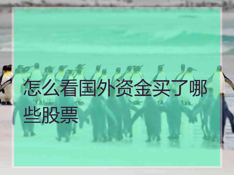 怎么看国外资金买了哪些股票