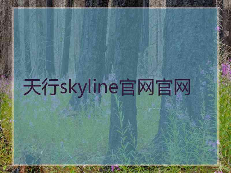 天行skyline官网官网