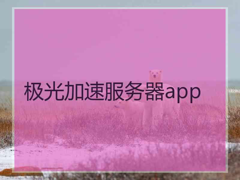 极光加速服务器app