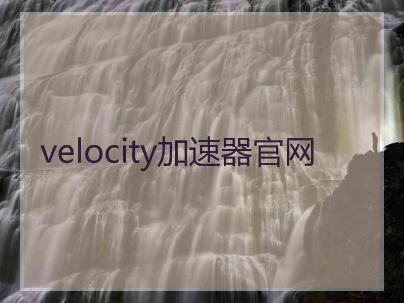 velocity加速器官网