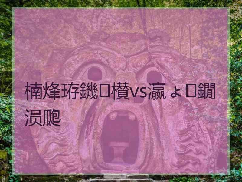 楠烽珔鐖櫕vs瀛ょ鐗涢瓟