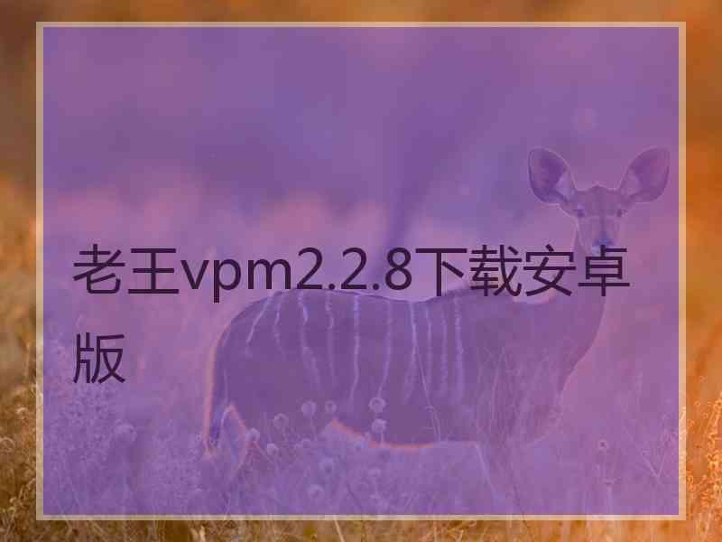 老王vpm2.2.8下载安卓版