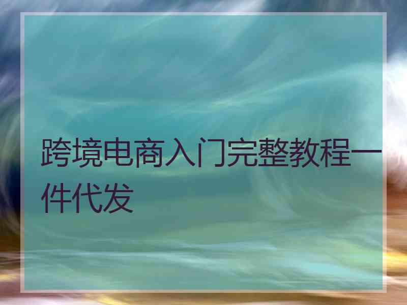 跨境电商入门完整教程一件代发