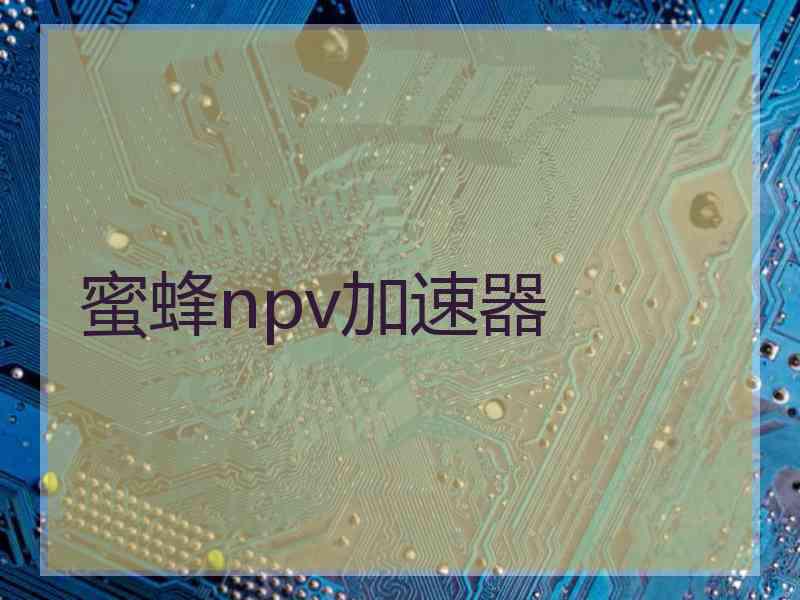 蜜蜂npv加速器