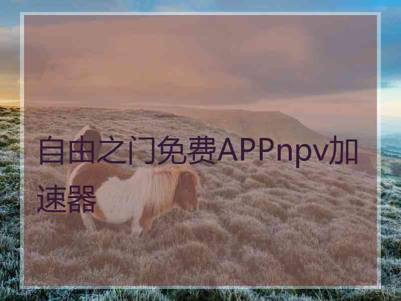 自由之门免费APPnpv加速器