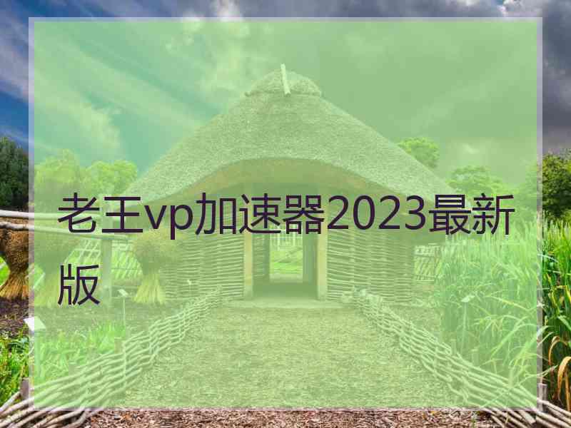 老王vp加速器2023最新版