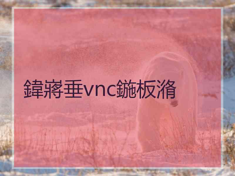 鍏嶈垂vnc鍦板潃