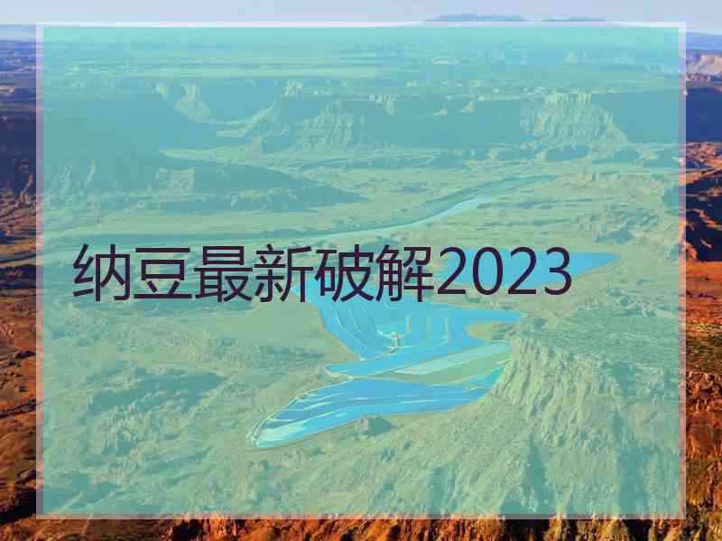 纳豆最新破解2023